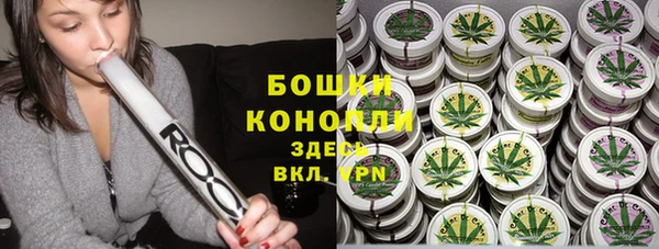2c-b Горняк