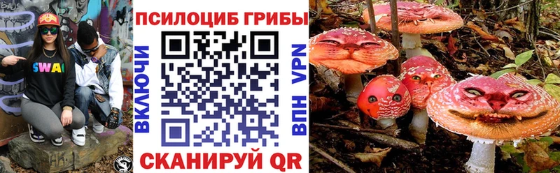 Купить где  Ртищево  Галлюциногенные грибы ЛСД 